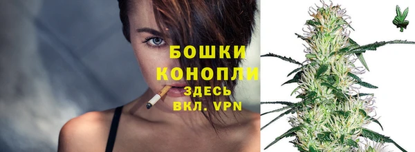 стаф Богородицк