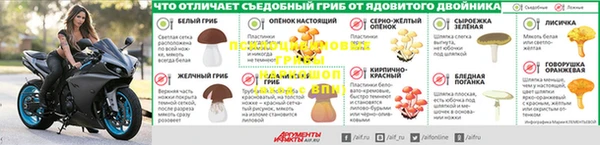 стаф Богородицк