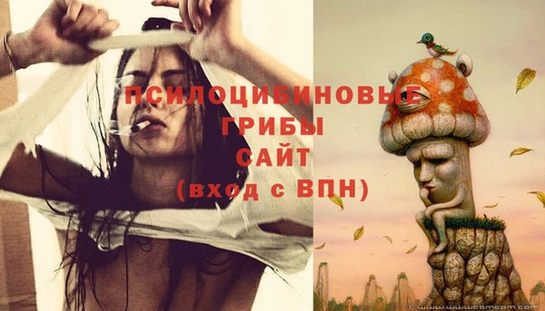 СК Богородск