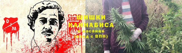 стаф Богородицк