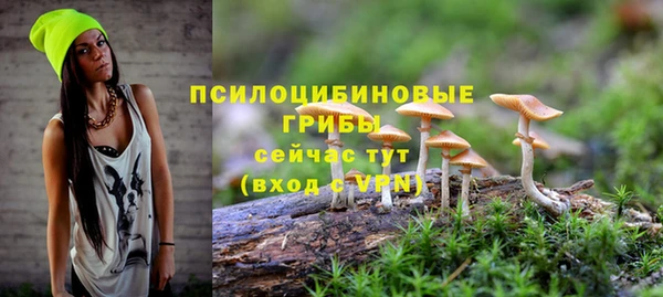 стаф Богородицк