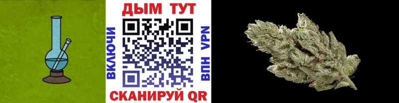 закладки  Мирный  Канабис индика 